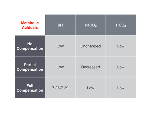 Abgs Rome Respiratory Opposite Metabolic Equal Ph Is