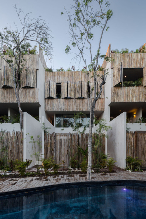 archatlas:Mexican Projects That Use Wood in Wondrous...