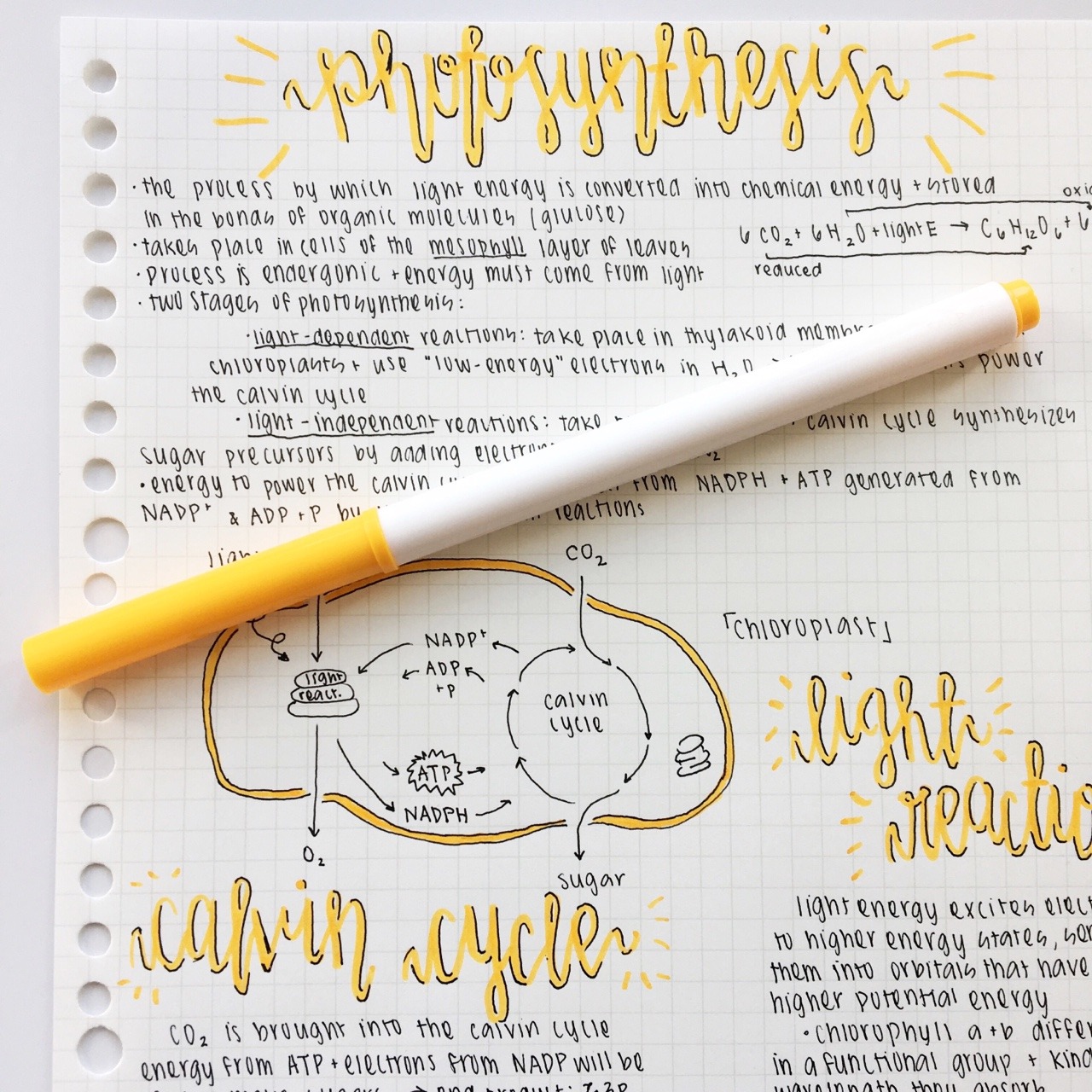 Aesthetic Notes Printable - Printable World Holiday