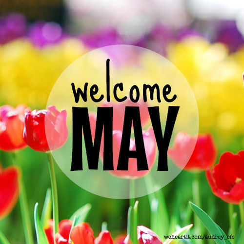 welcome may on Tumblr