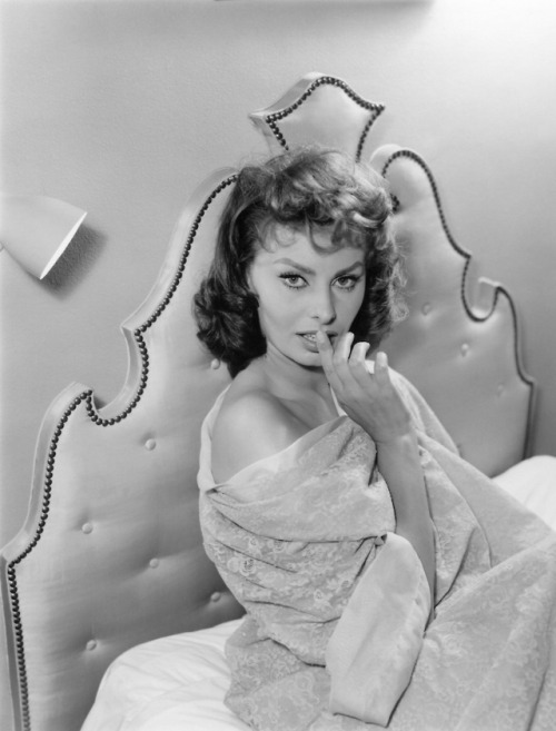 billyhopkinson:Sophia Loren