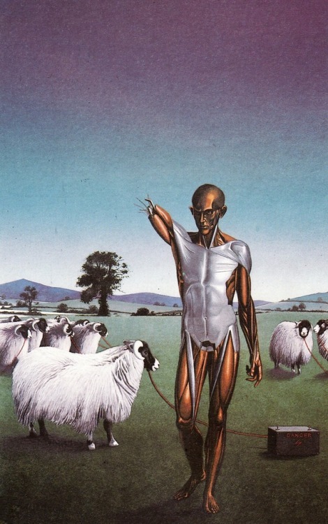 talesfromweirdland:Do Androids Dream of Electric Sheep? Cover...