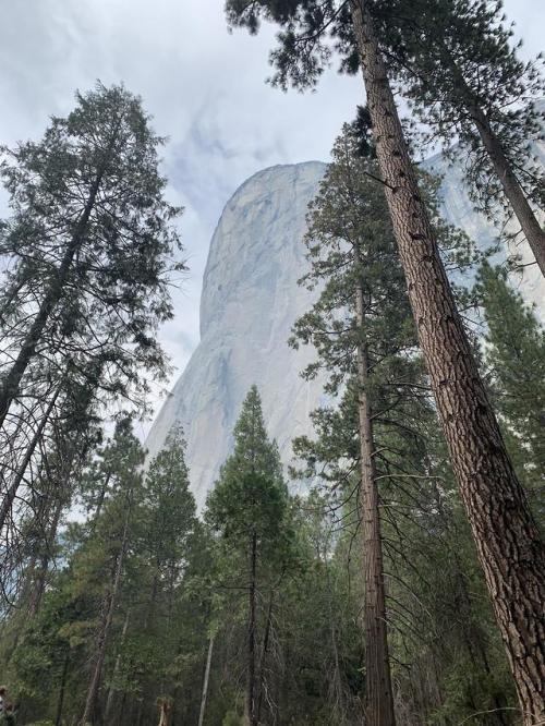 amazinglybeautifulphotography:[OC] Yosemite - El Capitan...