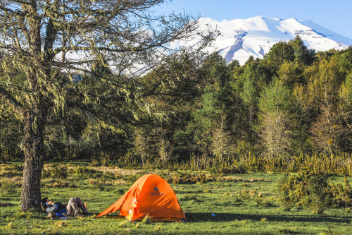Malalcahuello Chile Lonquimay Landscape camplife Outdoors Reserva Nacional Malalcahuello