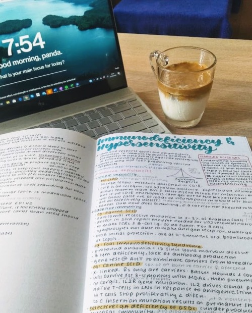 studywithyashu