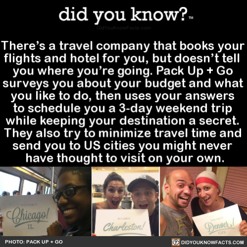 theres-a-travel-company-that-books-your-flights
