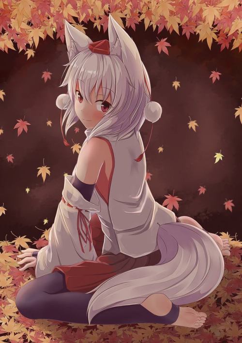 Anime girl with wolf ears
