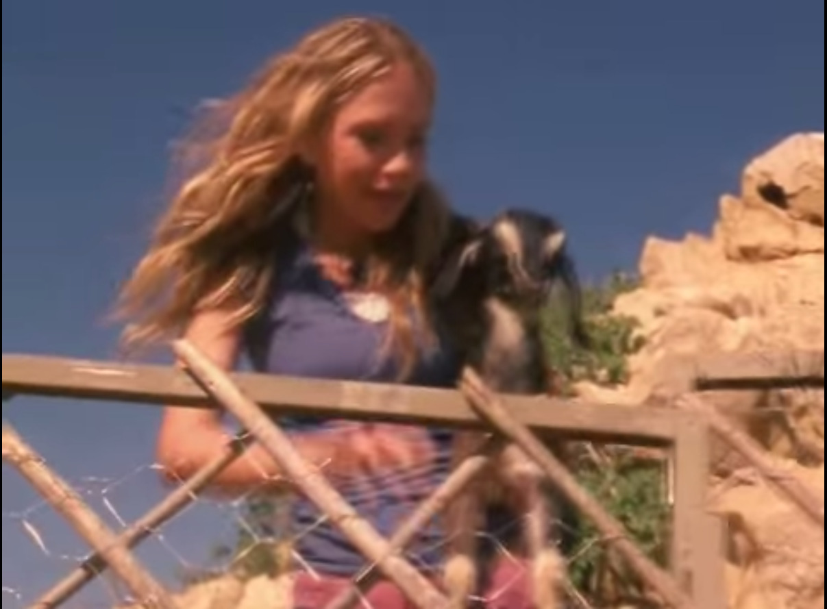 The Challenge Mary Kate And Ashley Trailer The Challenge (2003) - Mary-Kate and Ashley Reviewed