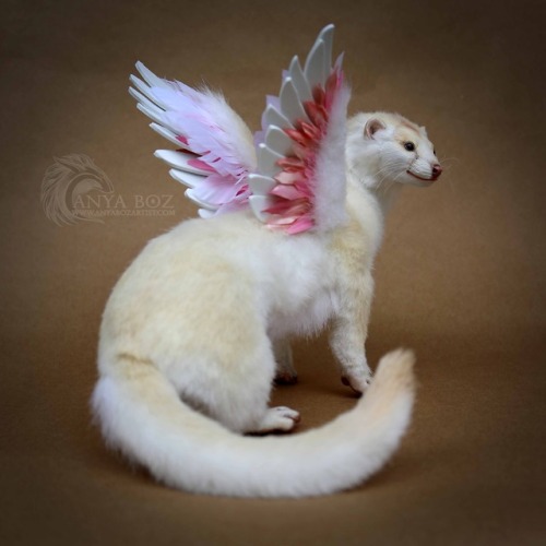 anyaboz:Winged Mink Room GuardianCommission NFSHoly Moly I am...