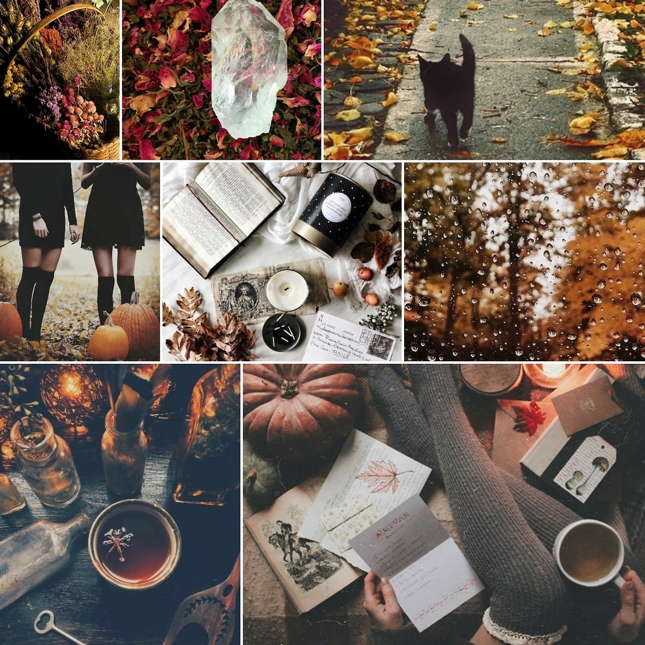 Aesthetics/Requests OPEN. Kin friendly! — A fall witch aesthetic! feel ...