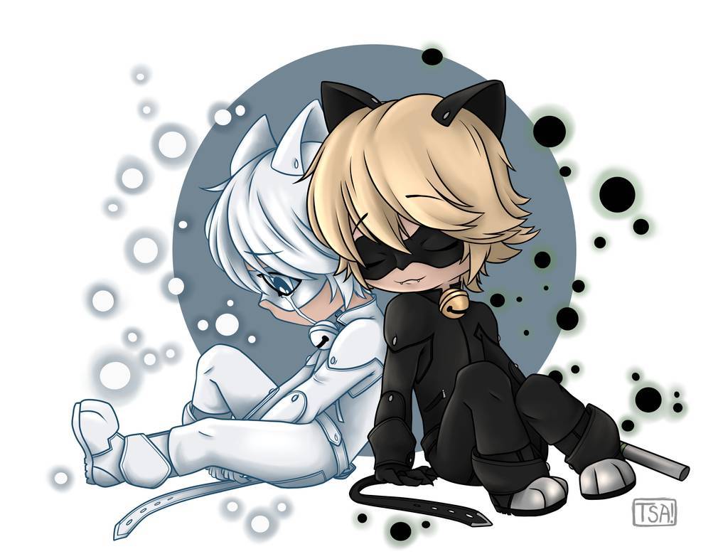 Chat noir chat blanc r miraculousladybug