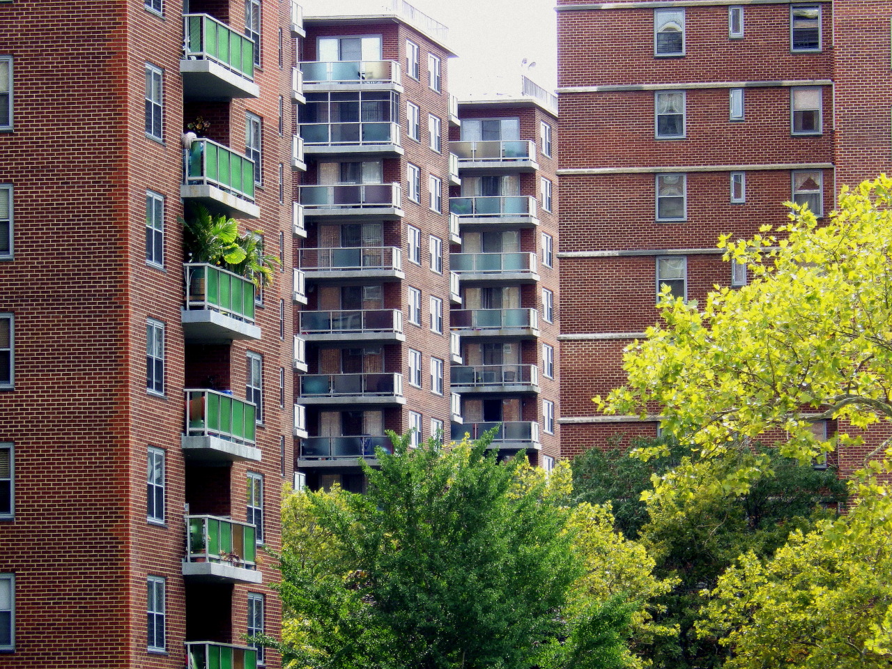 Wandering New York, Windows and terraces in Rochdale Village.