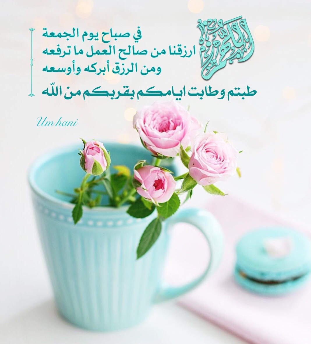 الدعاء هو العبادة ..(3) - صفحة 76 Tumblr_pd87ooKBjn1ta87olo1_1280