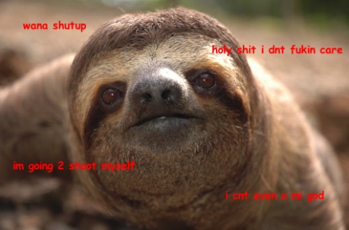 sloth meme on Tumblr