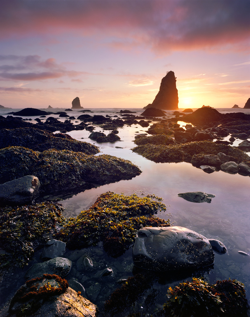 Alex Burke: Backpacking along the Olympic Coast. It's awesome... - Tumblr Nxm4rkMfm61u393yro1 1280