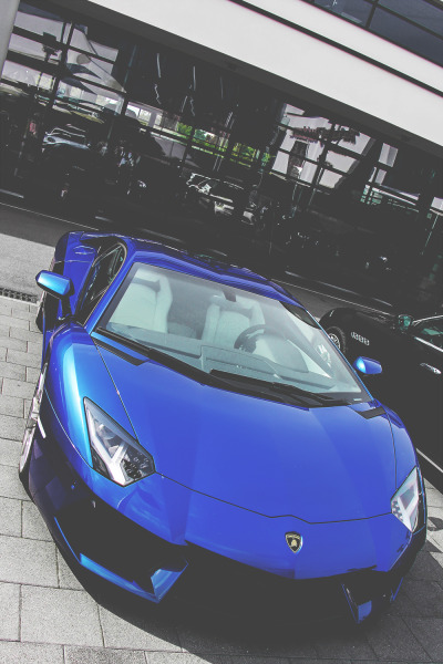 royal blue