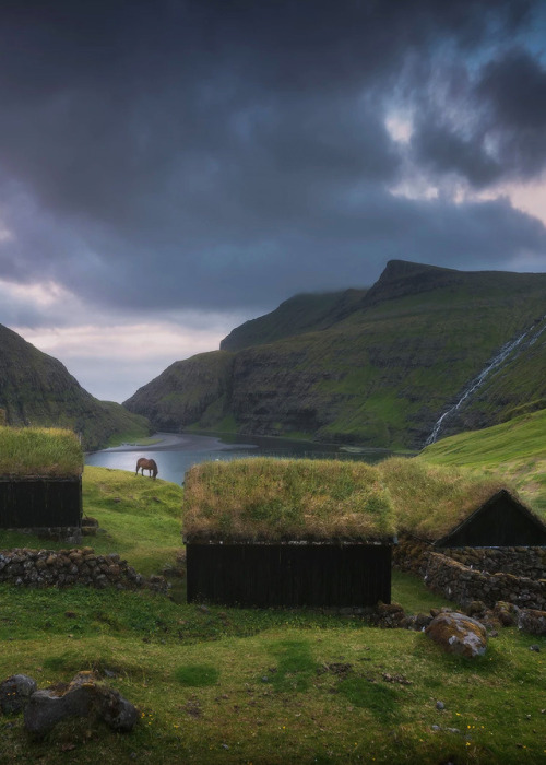 coiour-my-world:Faroe Islands | Daniel Kordan