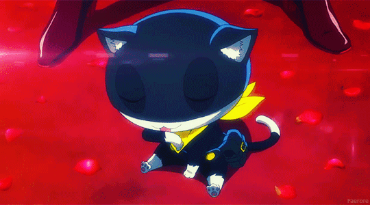 https://66.media.tumblr.com/a424ebe9e0ec90275e10a22911b3bdef/tumblr_nuvmjyElLo1svkfqgo1_r1_540.gif