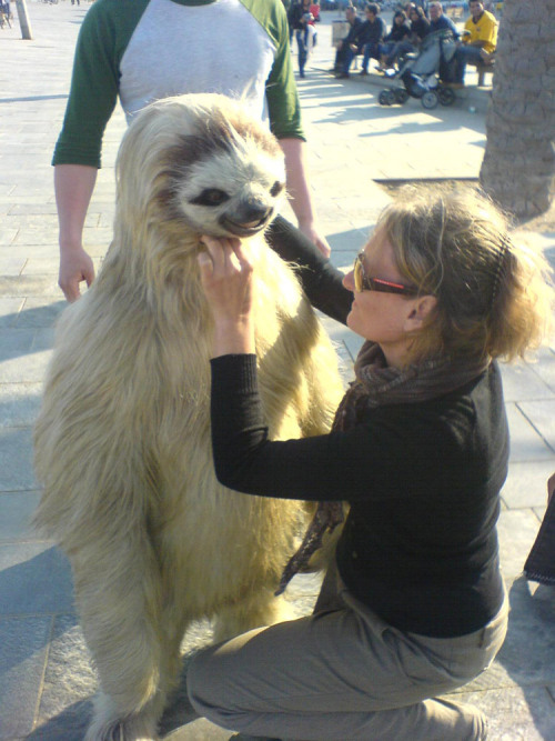 #MonsterSuitMonday More from the Alfa Romeo Sloth adventures....