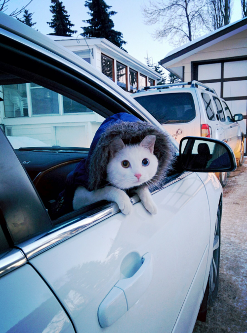 hitmewithcute