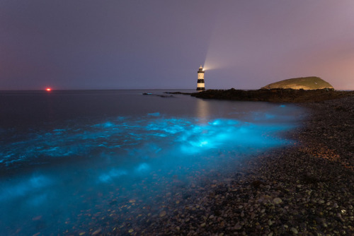 te5seract:‘A Splash Of Light’ - Penmon,...