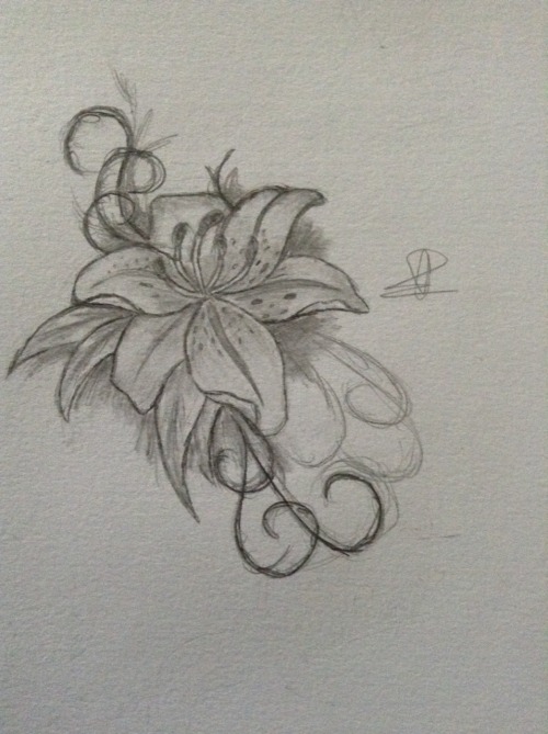 flower sketch on Tumblr