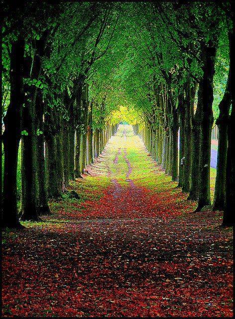 Avenue at the Castle Wilhelmstal, Germany.