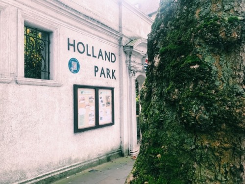 newyorkexplorer:Holland Park