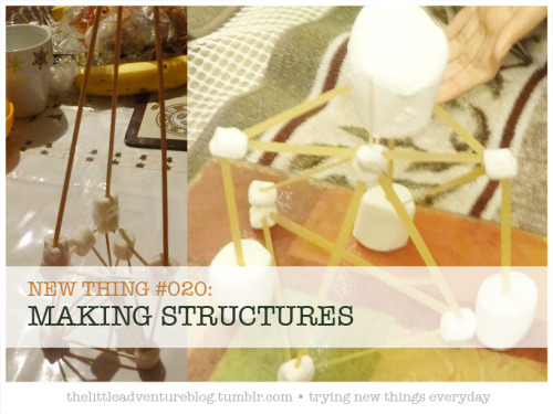NEW THING #020: Making marshmallow-toothpick structures! So my…
