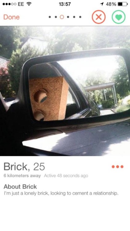 echoflora:bunsen:Tinder done right@askabrick  -  You’re on...