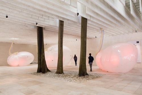 biennalearchitettura2018 biennaleinstameet venezia nordicpavilion biennalevenezia architecturebiennale2018 biennalearchitettura veneziadavivere
