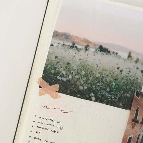 ambitiions:pink-themed spread from a few weeks back! I’m...