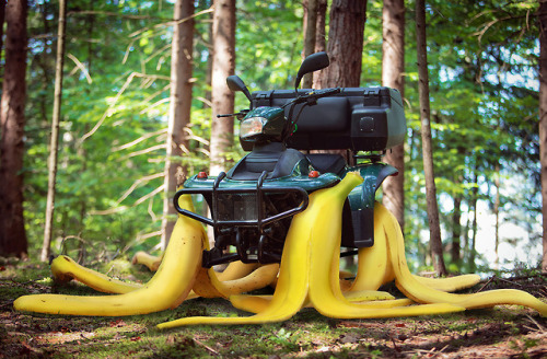 celticpyro:dennys:Wanna go four-peelin’ out in the woods with...