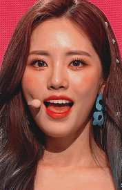 tumblr_pt3hxkGPzE1usvzv9o5_250.gif
