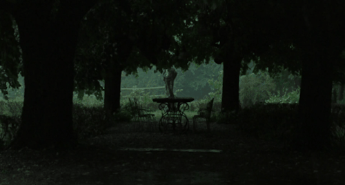 nature my my gif movies gif trees rain rainfall forest hipster love chuva wind gale call me by your name