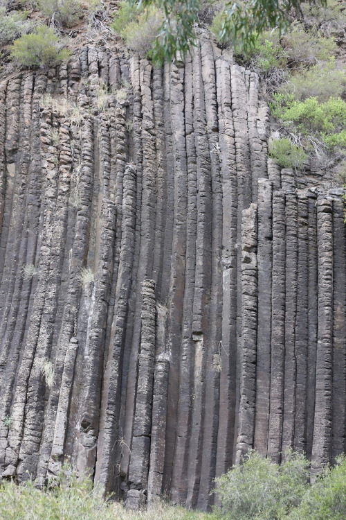 Organ Pipes National Park Tumblr