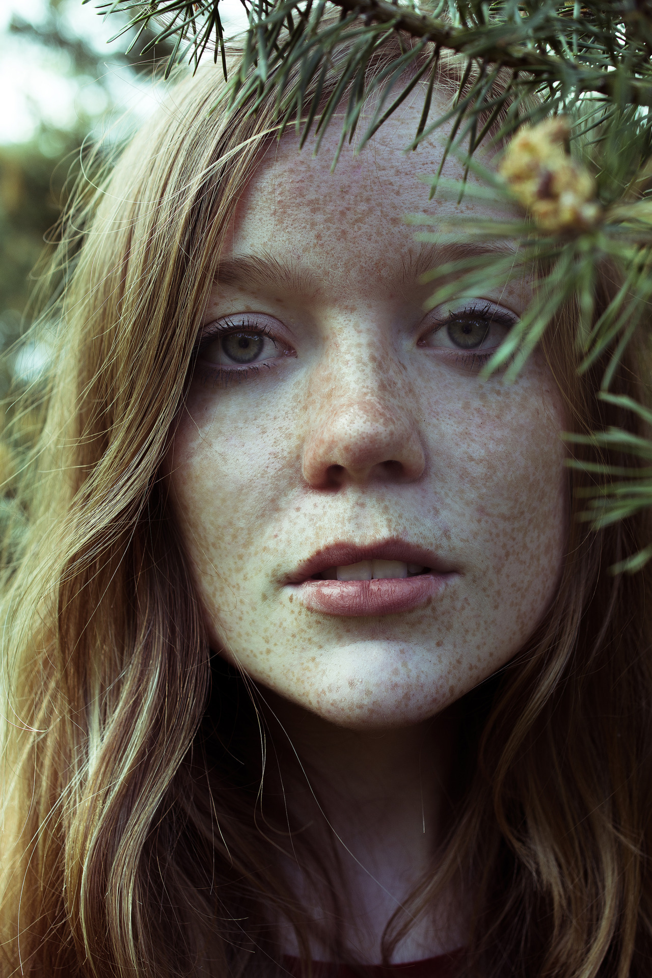 Beaucoup Freckles Redheads — Ilovefrecklesfan 