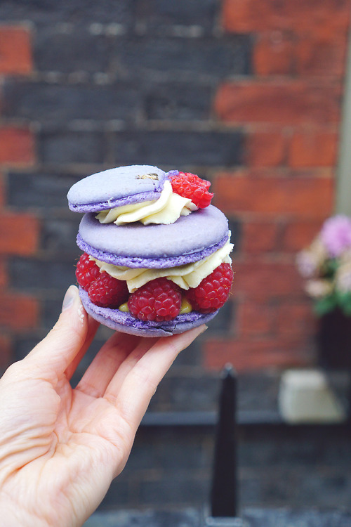 Violet Macarons Tumblr