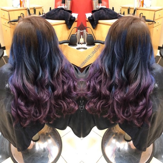 Socolor Royal Purple Tumblr