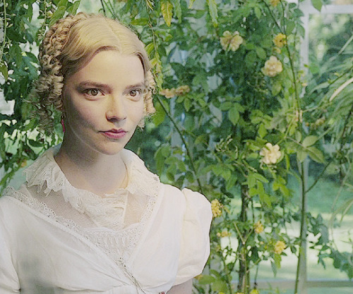 ladybabington