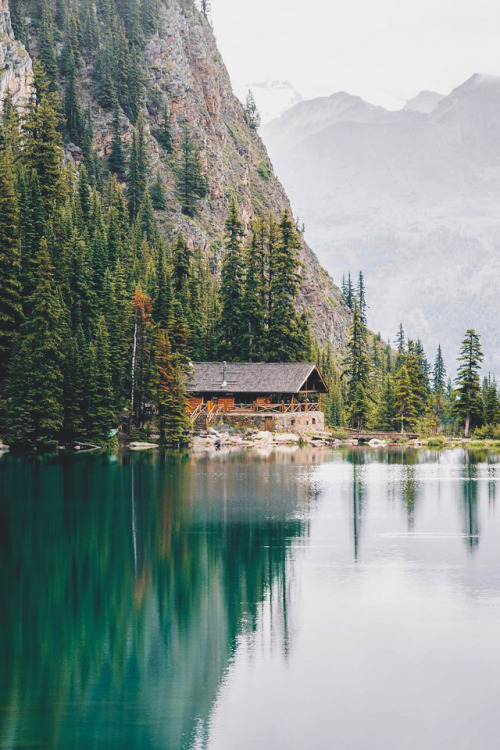 banshy:Banff National Park by Stevin Tuchiwsky