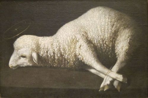 artist-zurbaran:Agnus Dei, Francisco de ZurbaranMedium:...