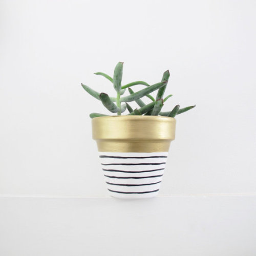 lesstalkmoreillustration:Hand Painted Plant Pots By...