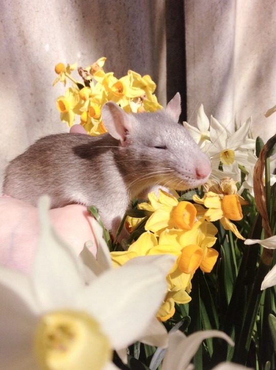 Take time to stop and smell the flowers 🌼