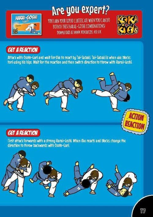 severelyfuturisticharmony:Judo (柔道 jūdō, meaning “gentle way”)...