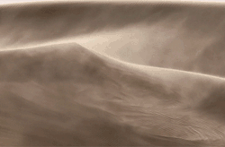 tumblr_nhuovaTF4k1smjk7ro1_250.gif
