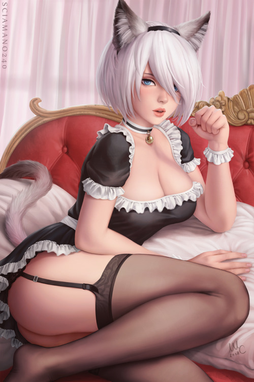 hal10:sciamano240:2B in a catgirl plus maid costume, as the...