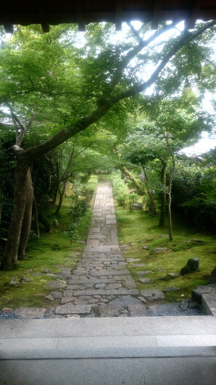 tacoriichi