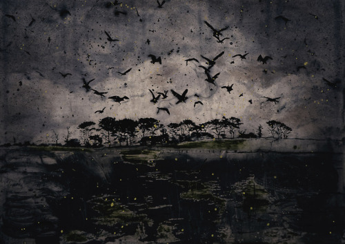 radstudies:Elizabeth Magill (Irish, b. 1959) - Roches Rooks,...