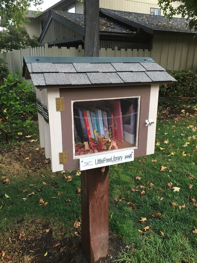 Little Free Library by Naomi Kritzer